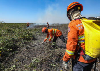 Corpo de Bombeiros extingue dois incêndios em Canarana e combate outros 18 em MT nesta sexta-feira (02)