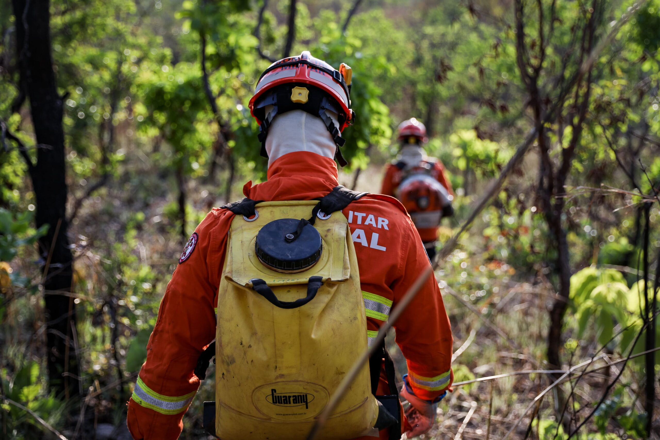 Bombeiros de MT extinguem dois incêndios e combatem outros 27 nesta quinta-feira (19)