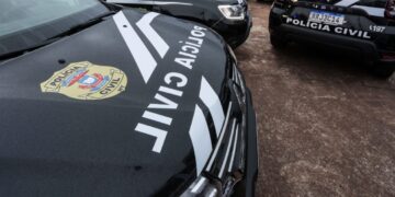 Polícia Civil prende em flagrante homem por atear fogo em vegetação