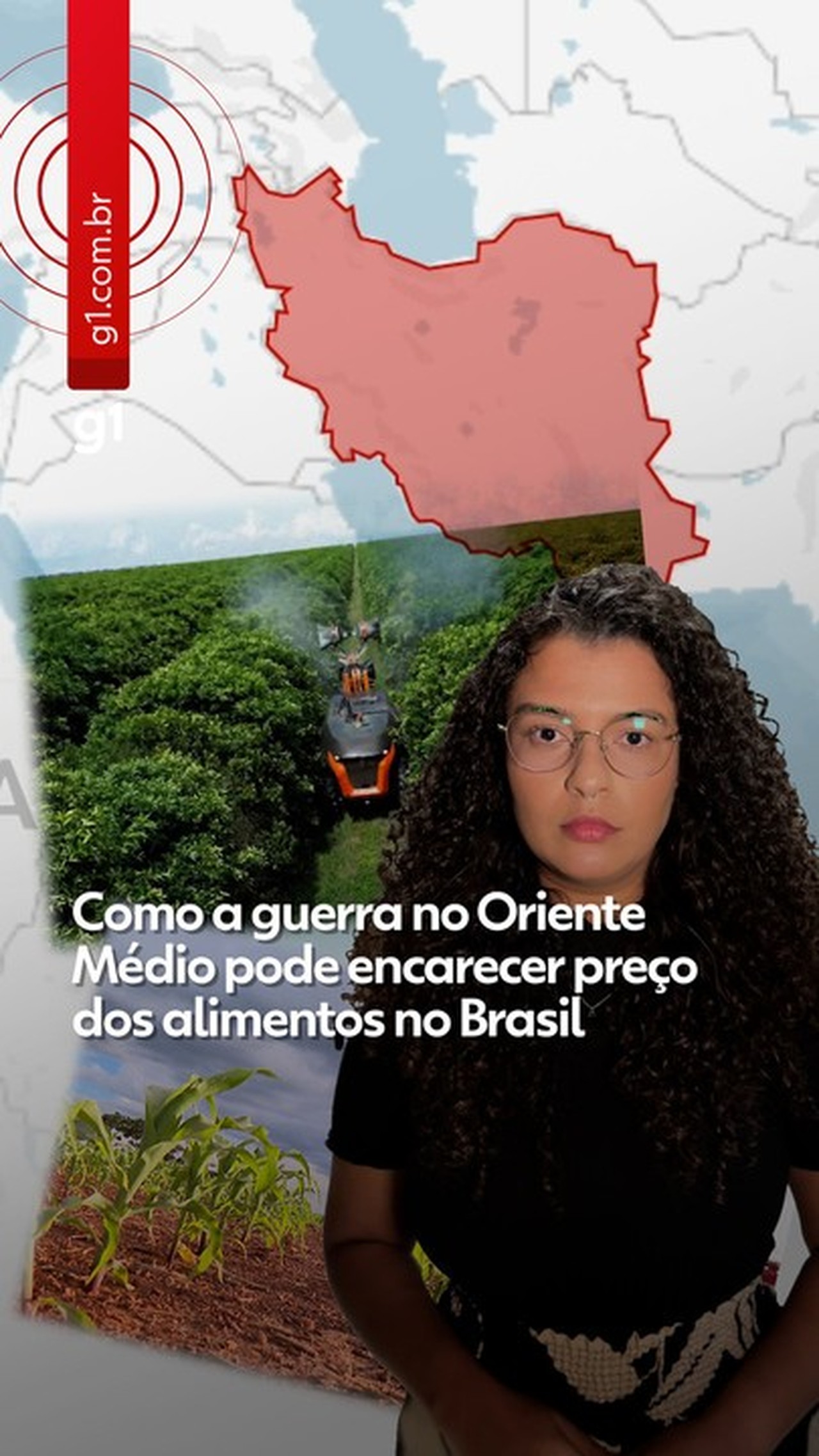 Por que a China devolveu cargas de soja do Brasil