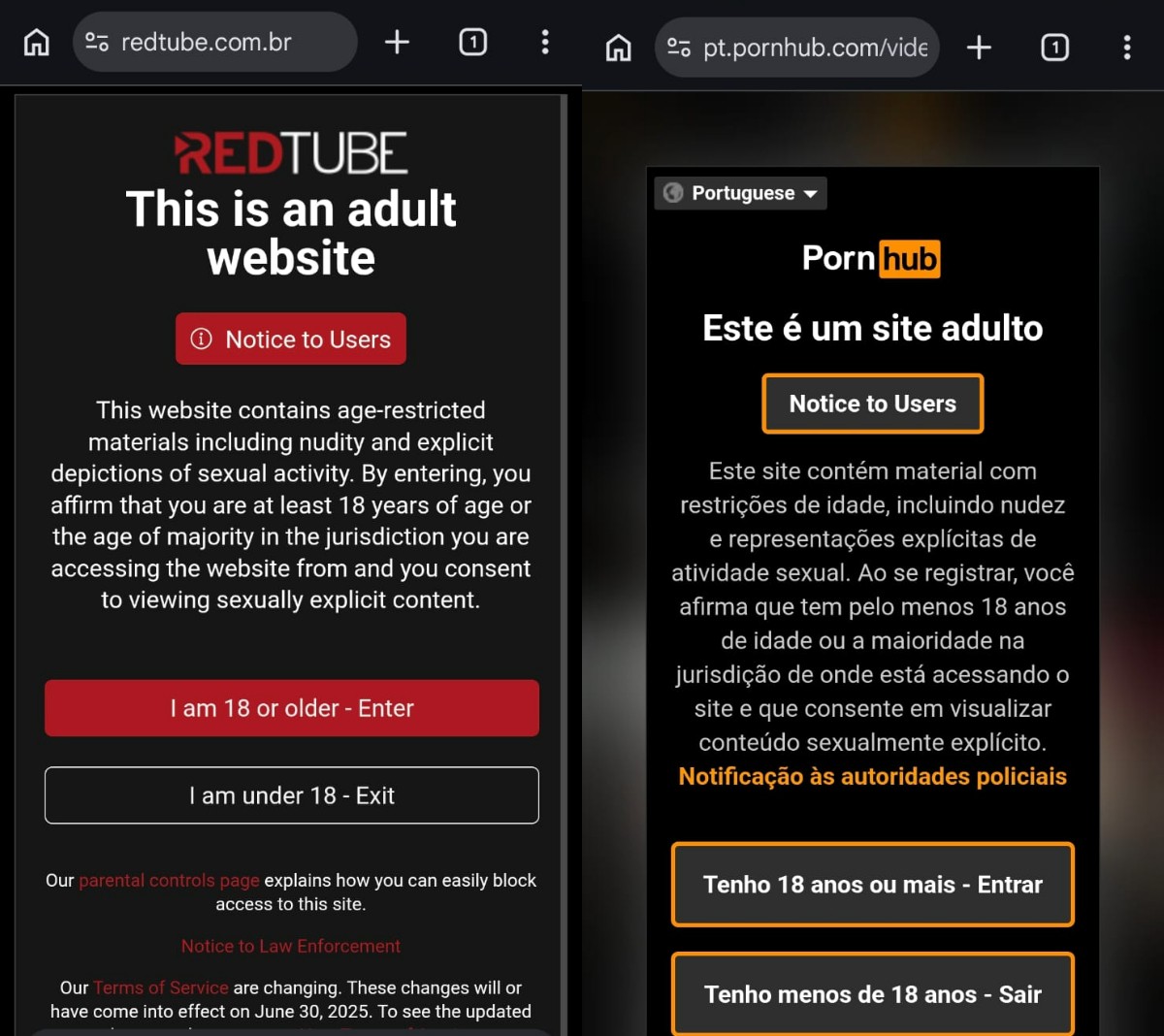 ECA Digital: sites pornôs seguem sem checar idade, e redes tentam adivinhar faixa etária