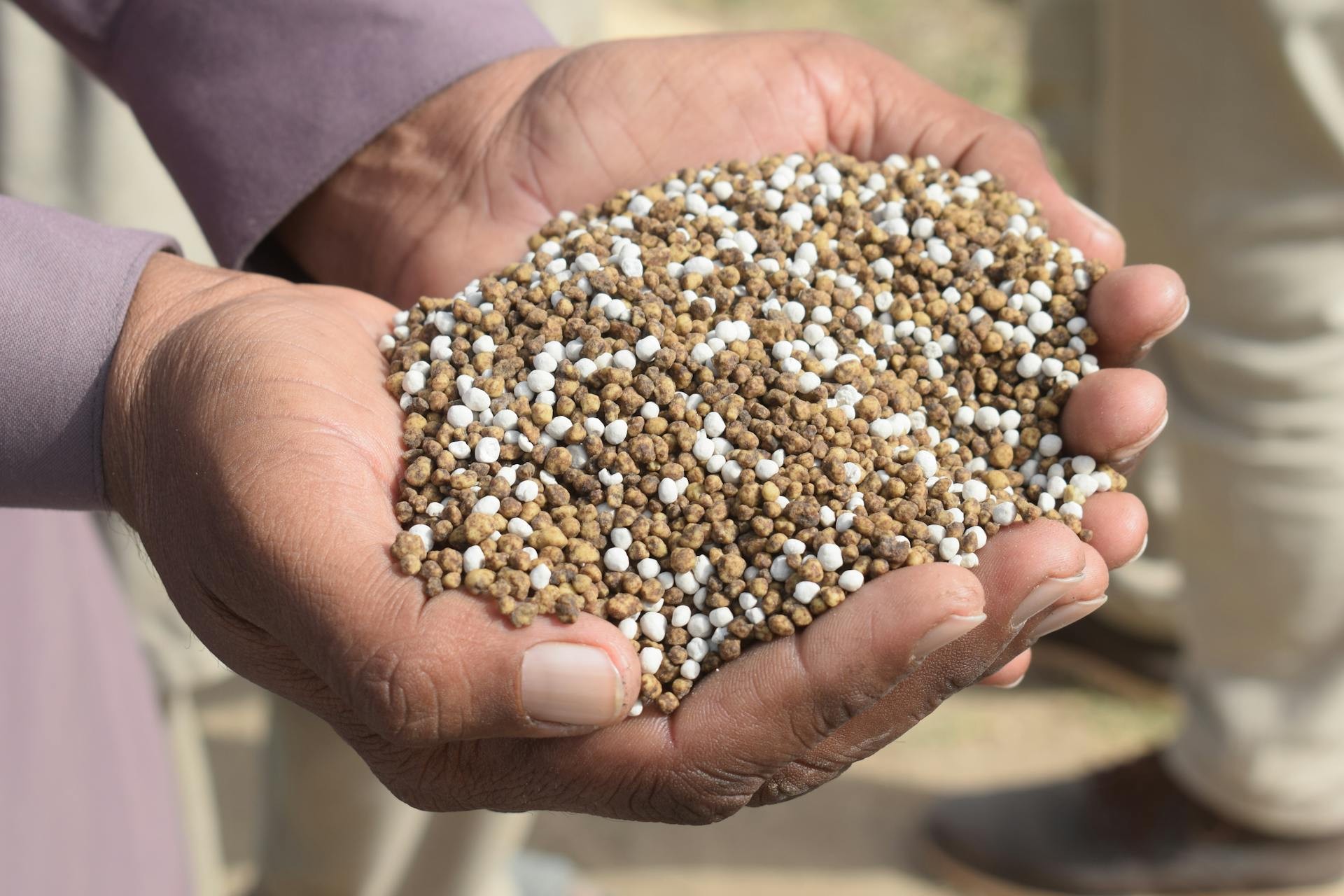 China restringe exportações de fertilizantes; país é um dos principais fornecedores do Brasil