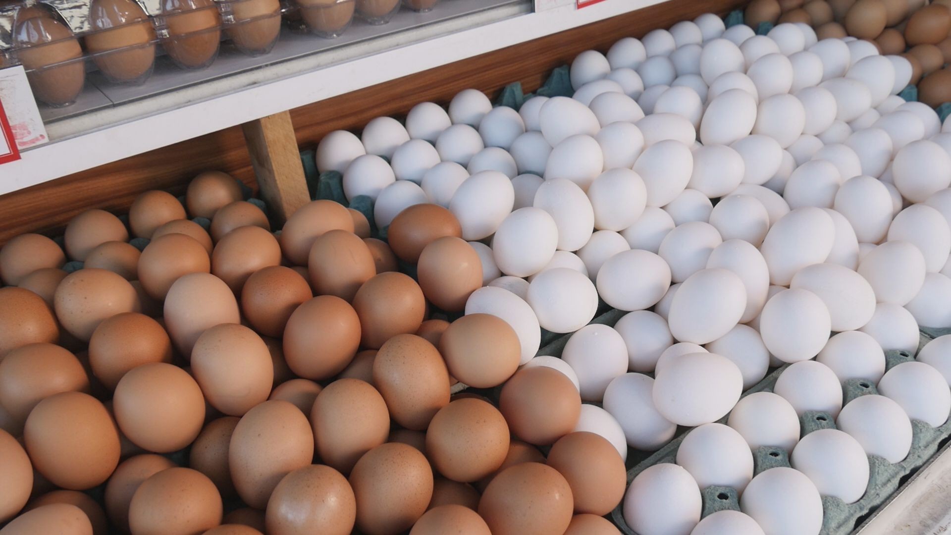 Como melhorar a produção de ovos e frango caipira? Veja dicas