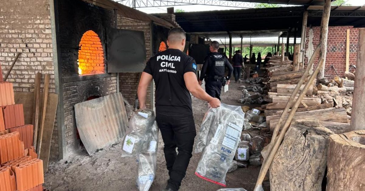 Polícia Civil destrói mais 400 quilos de entorpecentes em quinta incineração do ano em Cáceres